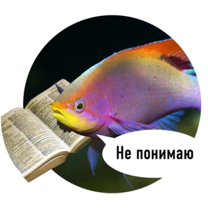 текст рыба